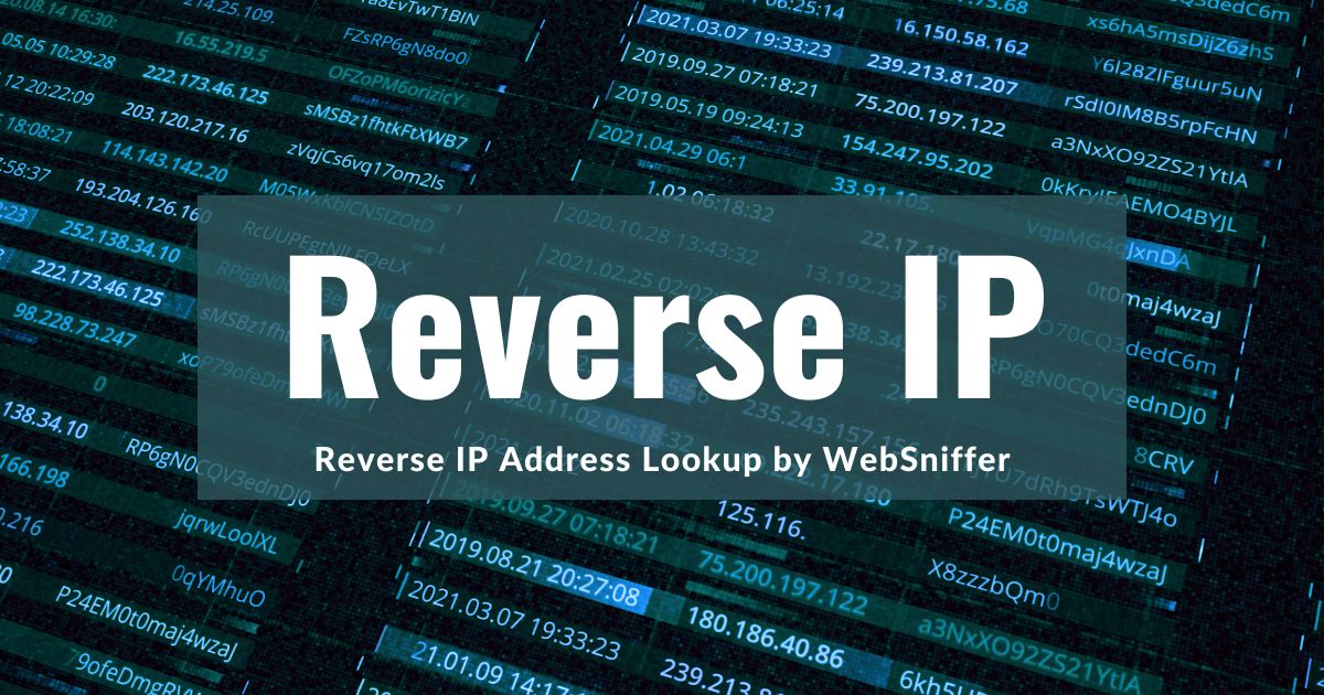 blog_reverse_ip_lookup_websniffer.jpg